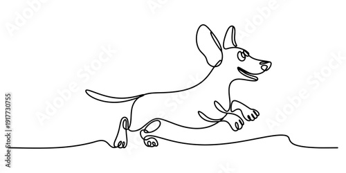 Continuous line drawing of a happy running dachshund dog on a white background. Vector, illustration