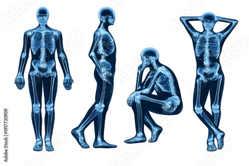 Four blue translucent human figures in various poses like standing and sitting, displaying internal skeletal structures and anatomy against a solid black background.