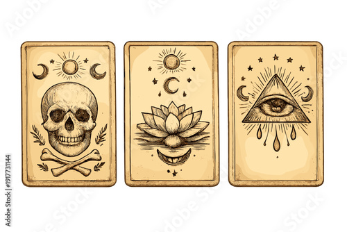 A set of three hand-drawn occult cards depicting a skull, a lotus flower, and an eye of providence within a triangle, all set against a dark background with celestial motifs.