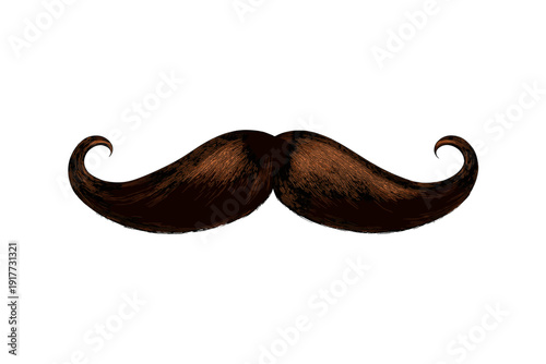 A realistic illustration of a thick brown handlebar mustache with curled ends, isolated against a solid black background. The hair texture is detailed with highlights and shadows.