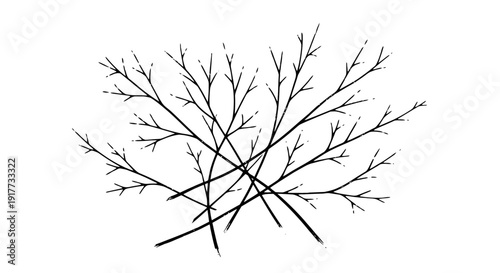 Minimal Abstract Tree Branch Network Illustration Representing Organic Growth, Neural Connections, Natural Structure Patterns, Biological Systems Concept and Modern Line Art Design