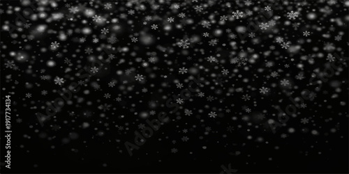 Snowfall Serenity: Delicate snowflakes gently cascade against a dark backdrop, creating a tranquil and picturesque scene.