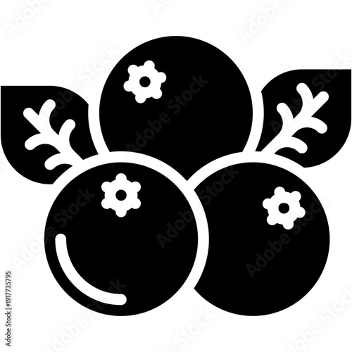 Acai Berry Vector Icon Healthy Superfood and Fruit