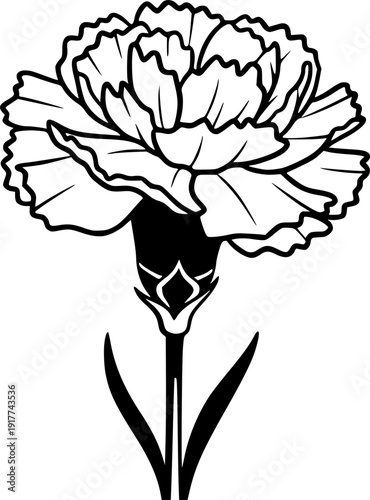 Elegant Carnation Bloom Silhouette - Dianthus Flower and Botanical Floral Vector