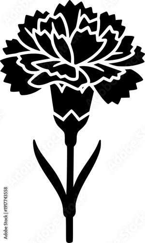 Elegant Carnation Bloom Silhouette - Dianthus Flower and Botanical Floral Vector