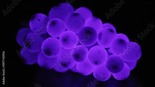 Glowing purple orbs clustered together on black background