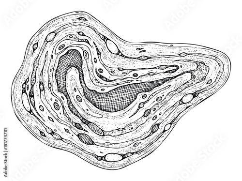 Abstract organic shape with flowing layered lines and intricate textures creating a dynamic visual, perfect for sophisticated graphic projects and unique decorative prints.