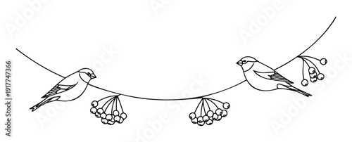 Two charming finch birds perched gracefully on a winter branch adorned with clusters of berries, perfect for creating inviting seasonal greeting cards, educational wildlife content, or