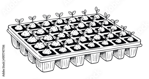 A gardening tray filled with numerous young plant sprouts growing from soil mounds, perfect for educational materials, spring themes, agriculture projects, and plant growth concepts.