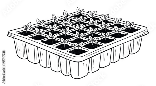 Black and white line drawing depicting numerous small green plant seedlings growing vigorously in a plastic propagation tray, perfect for gardening blogs, agricultural content, or