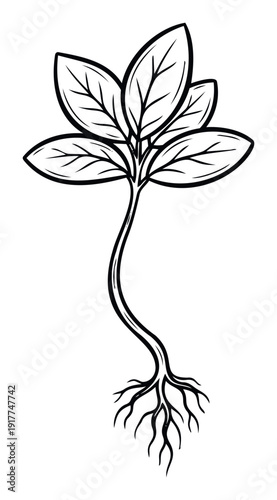 Minimalist black and white plant seedling with multiple leaves and intricate roots symbolizing new beginnings and organic growth suitable for ecological designs and botanical branding