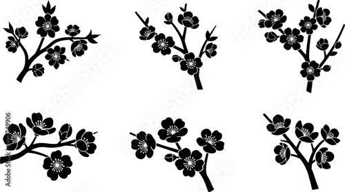 Collection of stylized black cherry blossom branches on a white background