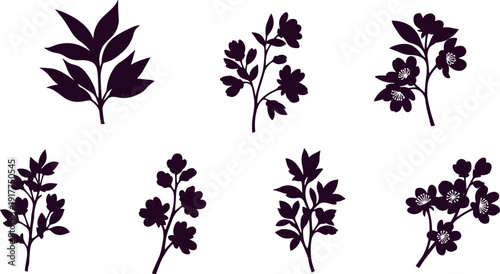 Collection of elegant floral and leaf silhouettes on a clean white background