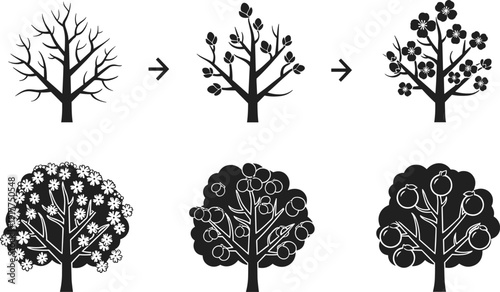 Illustration of a tree's life cycle from bare branches to fruit-bearing