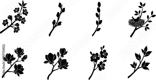Collection of black silhouette floral and nature elements on white background