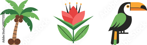 Tropical elements: palm tree with coconuts, exotic flower, and toucan bird