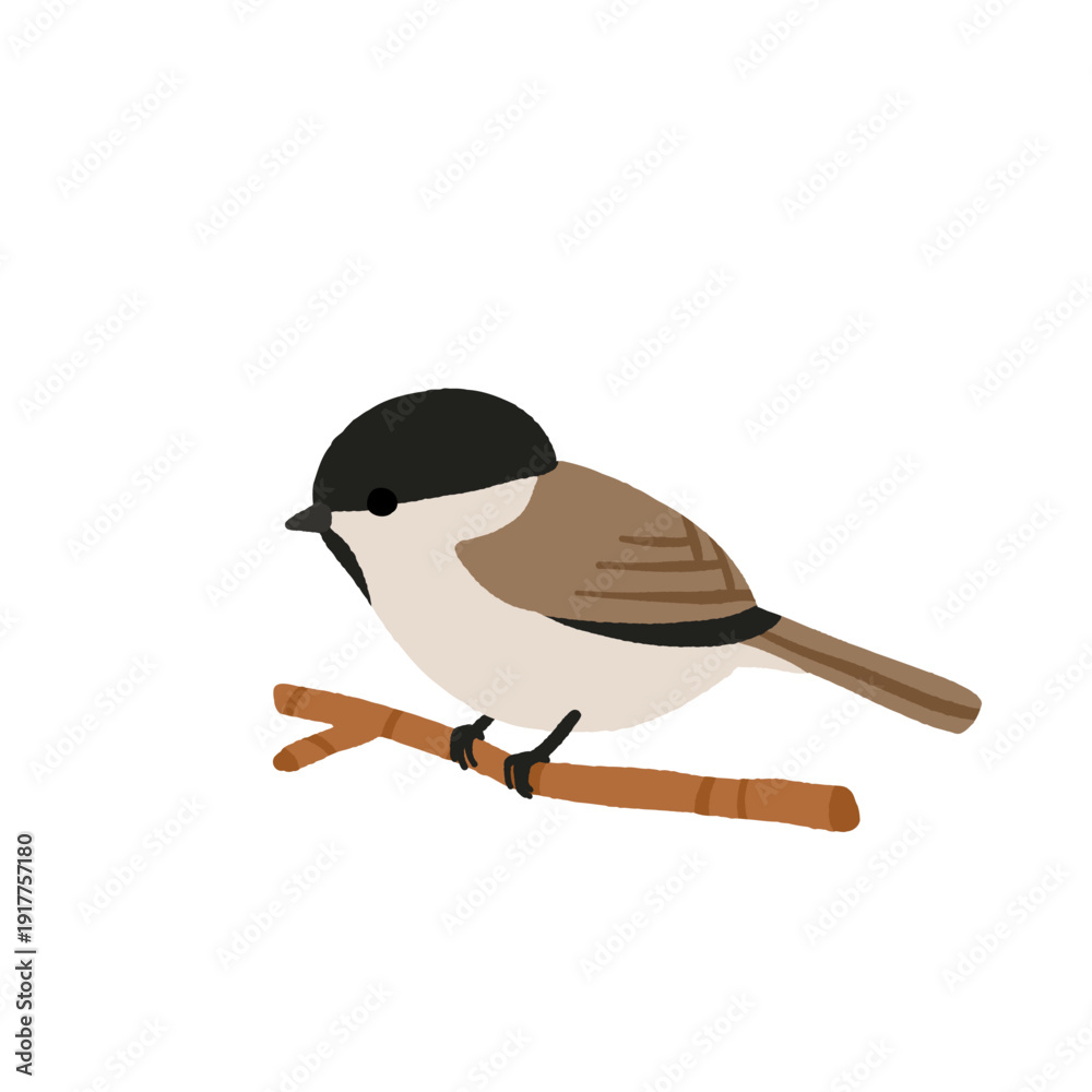 Naklejka premium Ukrainian Winter Birds Collection - Blue Tit Nuthatch Marsh Tit Great Tit. Common Backyard Garden Birds Vector Illustration Set. European Eastern European Wildlife Nature Education