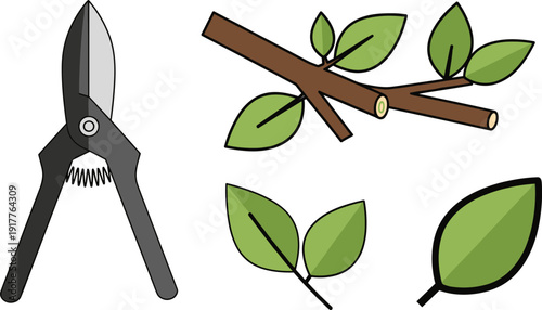 Gardening tools and pruning set, professional hand pruner with cut tree branches and green leaves vector illustration isolated on white background.