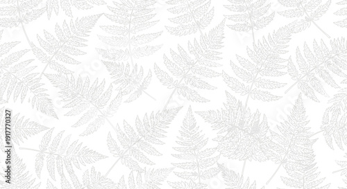 Abstract white fern leaves pattern background nature botanical texture design