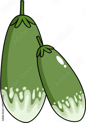 Thai Eggplant Clipart (Solanum melongena) – Natural Green Vegetable Vector for Cooking and Food Design