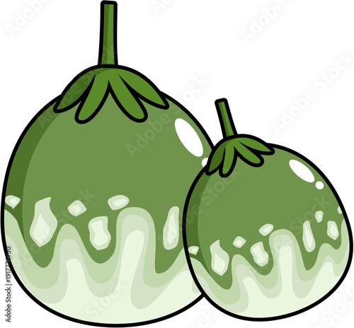 Thai Green Eggplant Clipart (Solanum melongena) – Fresh Organic Vegetable Vector for Healthy Food Illustrations
