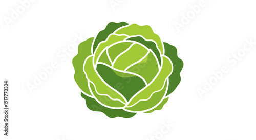 Green Cabbage Vegetable Icon.