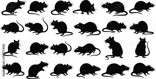 Black vector silhouette set of diverse rats and mice for pest control services wildlife nature animal conservation laboratory research and rodent infestation branding