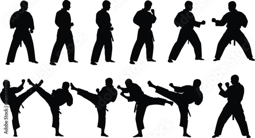 Large Silhouette Collection of Male Karate Fighters Performing Traditional Martial Arts Stances, High Kicks, and Powerful Combat Strikes, Isolated, SEO