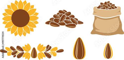 Sunflower and organic seeds collection, colorful vector illustrations with blooming sunflower head, sack full of seeds, and decorative seed patterns isolated on white background.