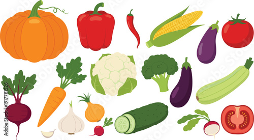 Flat vector illustration set of fresh organic vegetables including pumpkin bell pepper corn eggplant tomato carrot cauliflower broccoli cucumber onion garlic and radish.