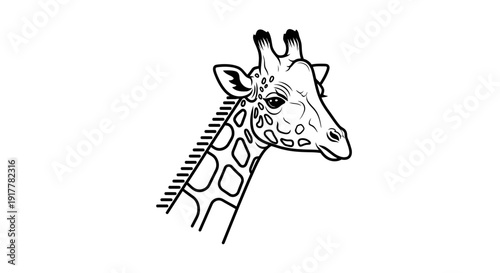 Detailed black and white line art illustration of a giraffe's head and upper neck with distinctive spots and ossicones.