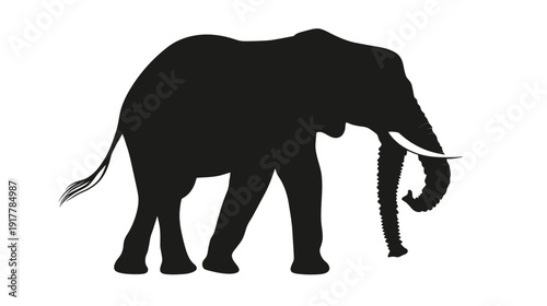 Silhouette of an Elephant Standing Gracefully