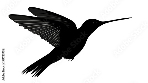 Silhouette of a Hummingbird in Flight Against White (1)