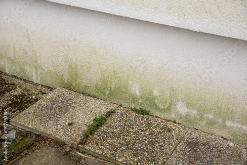 House facade is infested with mold and moss