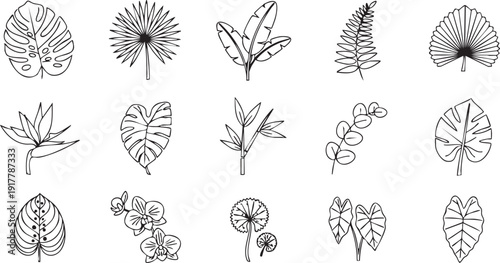 Collection of Hand Drawn Leaf Illustrations.