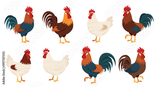 Set of various roosters and hens with colorful feathers in different poses including standing and walking for farm themed graphic design projects.