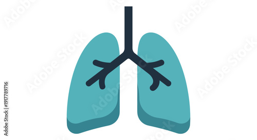 Human Lungs Anatomy Illustration.