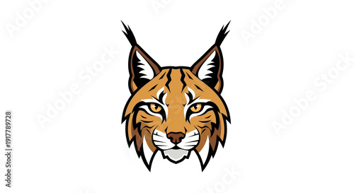 Illustration of Lynx Head.