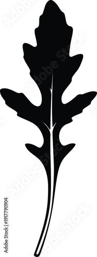 silhouette arugula rocket leaf organic food ingredient isolated on white vector design