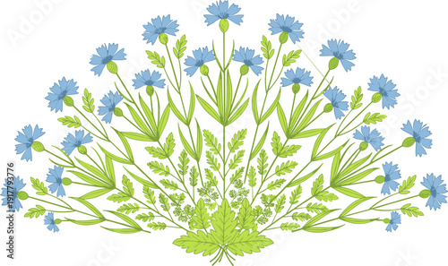 Symmetrical semi-circular fan arrangement of blue cornflowers and green leaves in flat vector style,