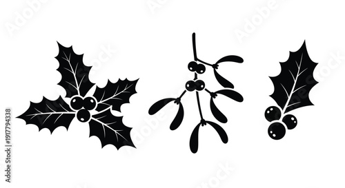 Black foliage and mistletoe arrangement presents a festive holiday silhouette