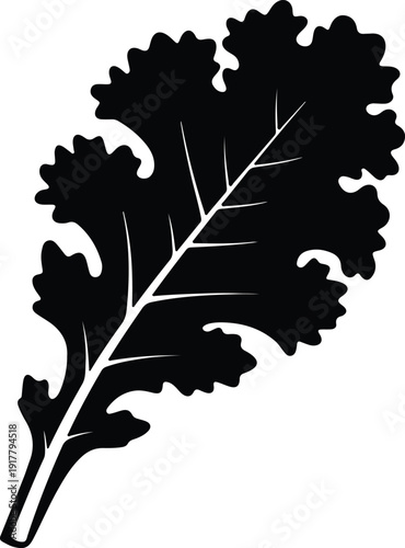silhouette of kale leaf with veins isolated on white background vector design