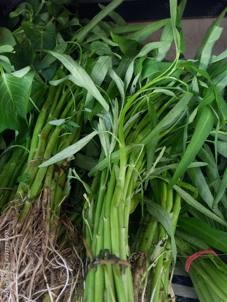 Fototapeta premium Water spinach that has been tied with string to be sold at the grocery store.