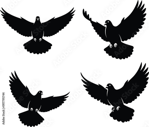 Black silhouettes of pigeons in various flying positions bird white background