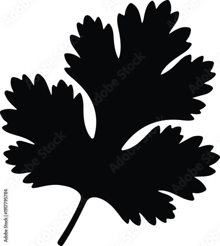 silhouette single cilantro leaf isolated on white background vector design