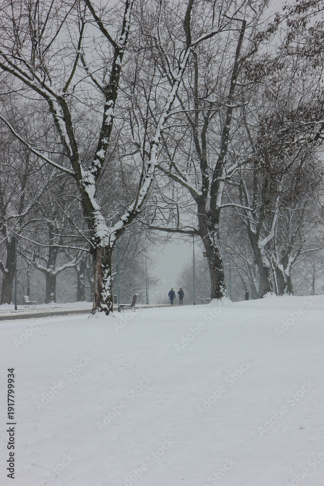 Obraz premium Two distant people walking along a snowy trail in a park. Bare winter trees and an overcast sky create a moody, calm atmosphere in the urban nature setting. Prague, Vitkov hill