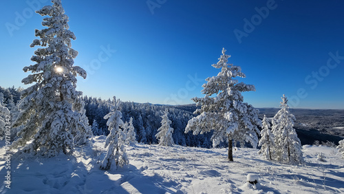 Winter snow-covered forest in clear sunny day. Beautiful mountain landscape