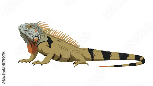 Detailed wildlife illustration of a large green iguana with a long striped tail and sharp dorsal spines isolated on white background.