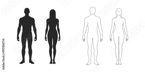 Male and Female Human Silhouettes and Outlines vector