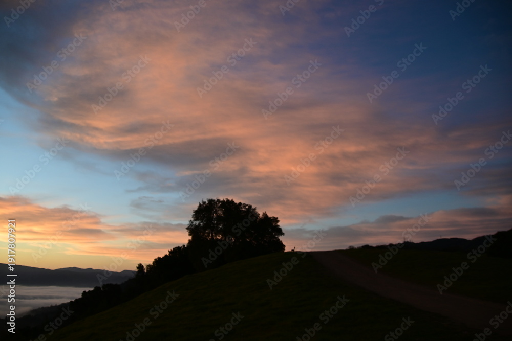 Obraz premium stunning view of a sunrise between fog ans sky
